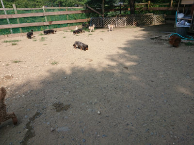 f:id:roukenhome-ann:20190804204111j:plain