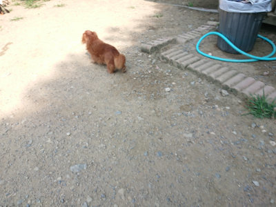 f:id:roukenhome-ann:20190804204116j:plain