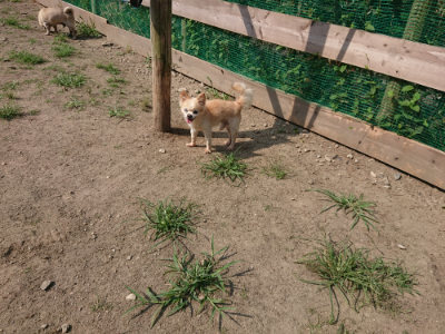 f:id:roukenhome-ann:20190804204122j:plain