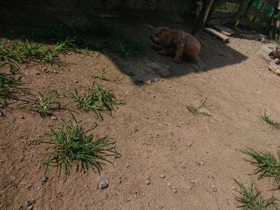 f:id:roukenhome-ann:20190804204127j:plain