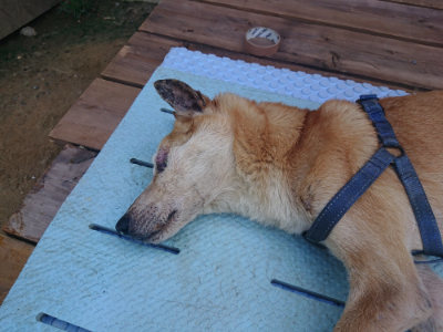 f:id:roukenhome-ann:20190804204204j:plain