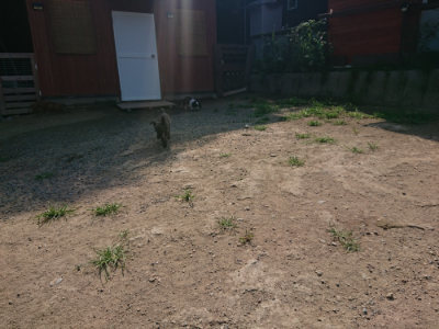 f:id:roukenhome-ann:20190804204218j:plain