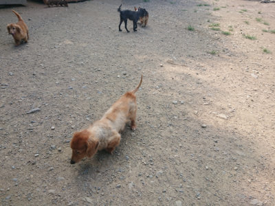 f:id:roukenhome-ann:20190804204232j:plain