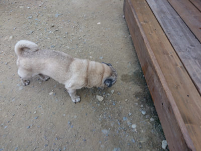f:id:roukenhome-ann:20190804204247j:plain