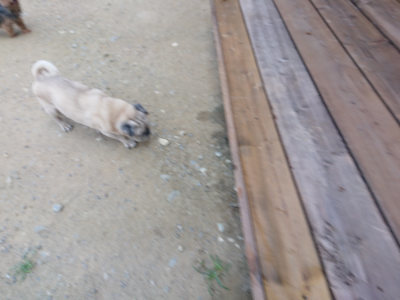 f:id:roukenhome-ann:20190804204326j:plain