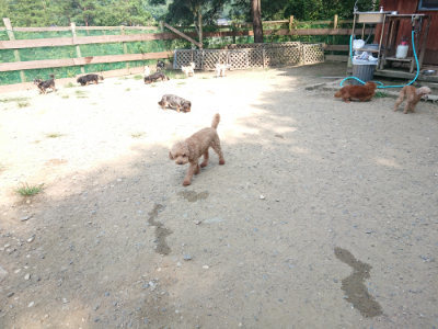 f:id:roukenhome-ann:20190804204332j:plain
