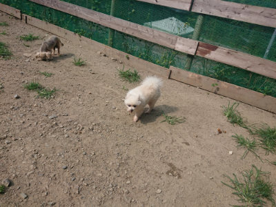 f:id:roukenhome-ann:20190804204338j:plain