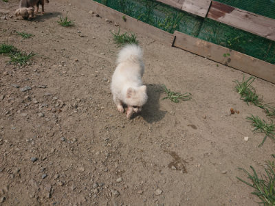 f:id:roukenhome-ann:20190804204346j:plain