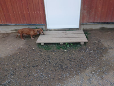 f:id:roukenhome-ann:20190804204352j:plain