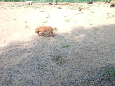 f:id:roukenhome-ann:20190804204400j:plain