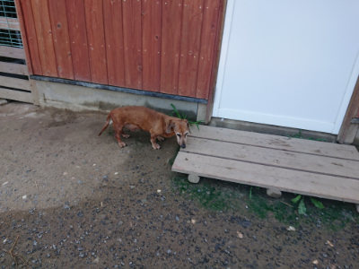 f:id:roukenhome-ann:20190804204437j:plain