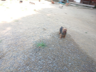 f:id:roukenhome-ann:20190804204444j:plain