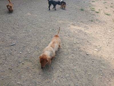 f:id:roukenhome-ann:20190804204502j:plain