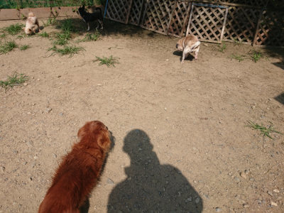 f:id:roukenhome-ann:20190804204515j:plain