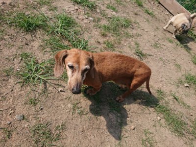 f:id:roukenhome-ann:20190804204536j:plain