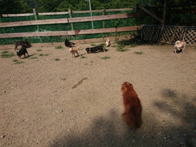 f:id:roukenhome-ann:20190804204542j:plain