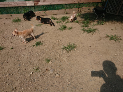 f:id:roukenhome-ann:20190804204549j:plain