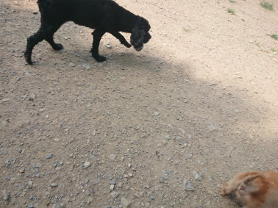 f:id:roukenhome-ann:20190804204601j:plain