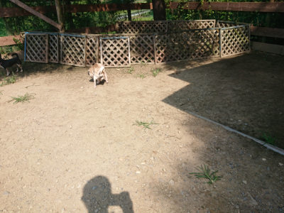 f:id:roukenhome-ann:20190804204620j:plain