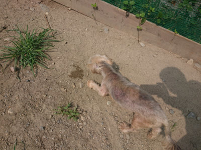 f:id:roukenhome-ann:20190804204638j:plain
