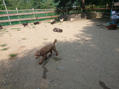 f:id:roukenhome-ann:20190804204651j:plain