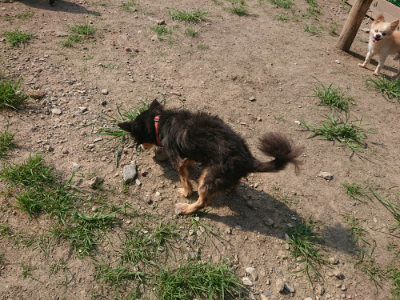 f:id:roukenhome-ann:20190804204657j:plain