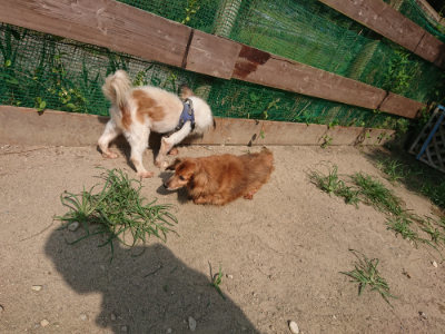 f:id:roukenhome-ann:20190804204819j:plain