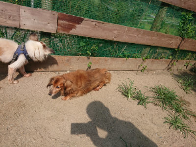 f:id:roukenhome-ann:20190804204825j:plain