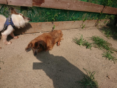 f:id:roukenhome-ann:20190804204832j:plain