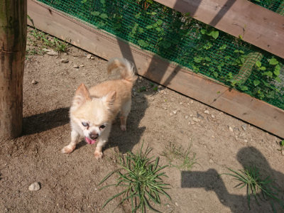 f:id:roukenhome-ann:20190804204844j:plain