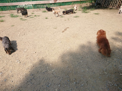f:id:roukenhome-ann:20190804204919j:plain