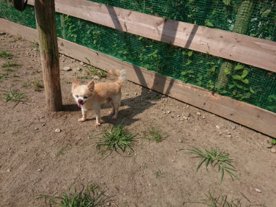 f:id:roukenhome-ann:20190804204957j:plain