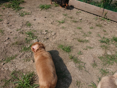 f:id:roukenhome-ann:20190804205013j:plain