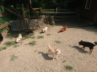 f:id:roukenhome-ann:20190804205033j:plain
