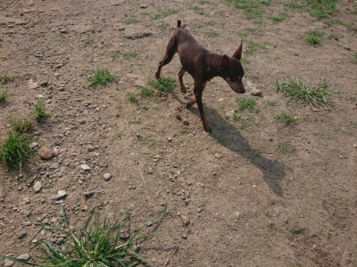 f:id:roukenhome-ann:20190804205046j:plain