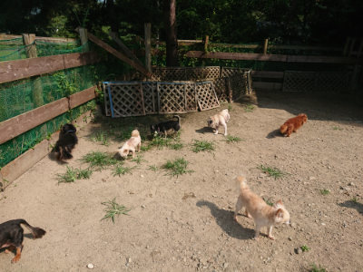 f:id:roukenhome-ann:20190804205113j:plain