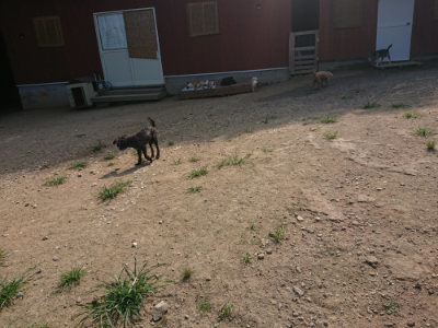 f:id:roukenhome-ann:20190804205144j:plain