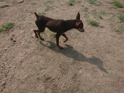 f:id:roukenhome-ann:20190804205205j:plain