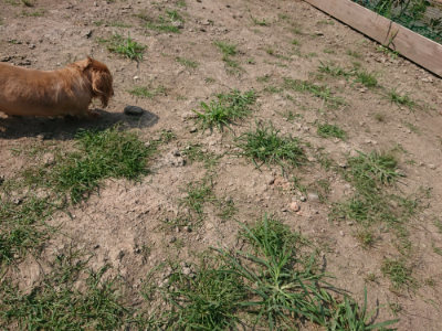 f:id:roukenhome-ann:20190804205236j:plain