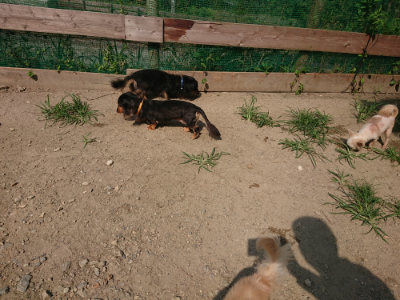 f:id:roukenhome-ann:20190804205243j:plain