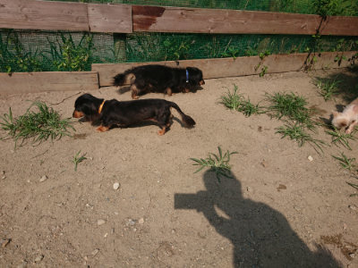 f:id:roukenhome-ann:20190804205249j:plain