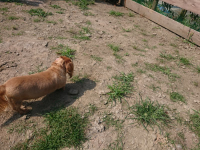 f:id:roukenhome-ann:20190804205259j:plain