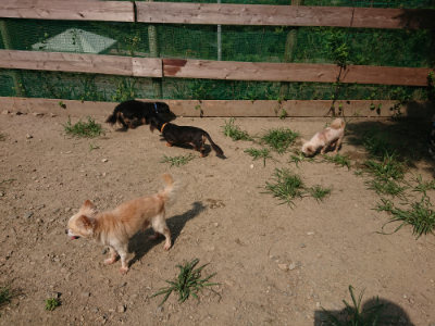 f:id:roukenhome-ann:20190804205316j:plain