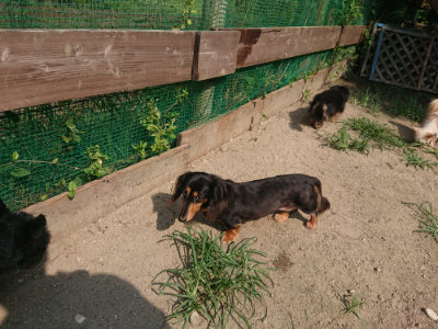 f:id:roukenhome-ann:20190804205322j:plain