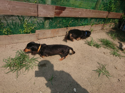 f:id:roukenhome-ann:20190804205351j:plain