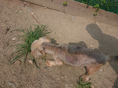 f:id:roukenhome-ann:20190804205428j:plain