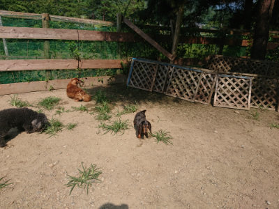 f:id:roukenhome-ann:20190804205504j:plain