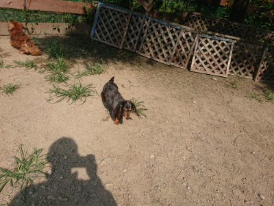 f:id:roukenhome-ann:20190804205552j:plain