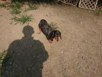 f:id:roukenhome-ann:20190804205603j:plain