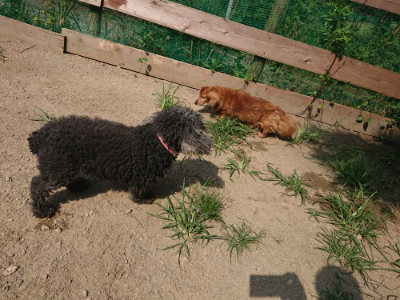 f:id:roukenhome-ann:20190804205611j:plain